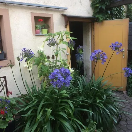 Apartment Otterbau Belgern-Schildau