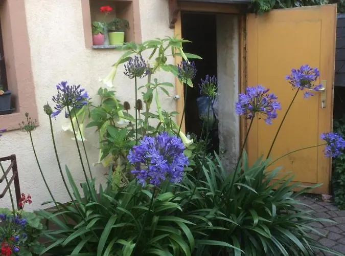 Apartment Otterbau Belgern-Schildau